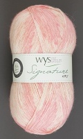 WYS - Signature 4 Ply - Florist Collection - 806 English Rose
